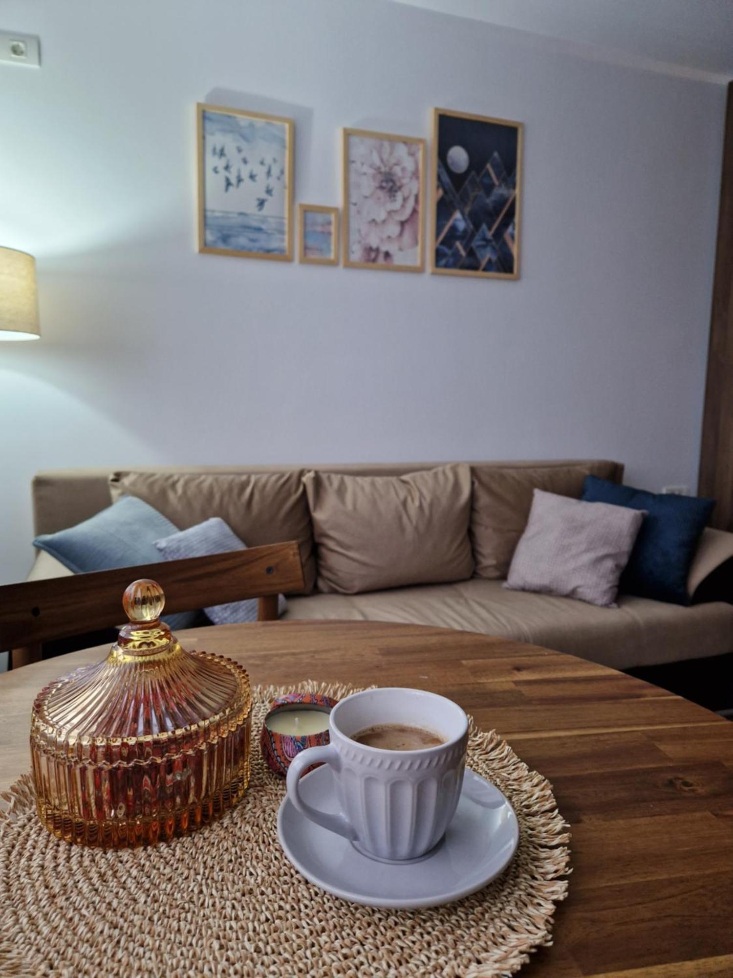 Craitelor Boutique Airport Apartment โอโตเปนี ภายนอก รูปภาพ
